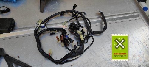IMG_20230826_174055
